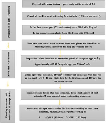 A quantitative and qualitative assessment of sugar beet genotype resistance to root-knot nematode, Meloidogyne incognita